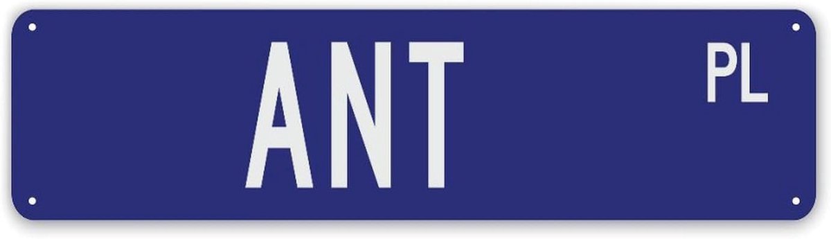 Gepersonaliseerd Naambord - Metalen Decoratie - Huis Decoratie - Aanpasbaar Ontwerp - 30 x 76 cm - Stijl 9