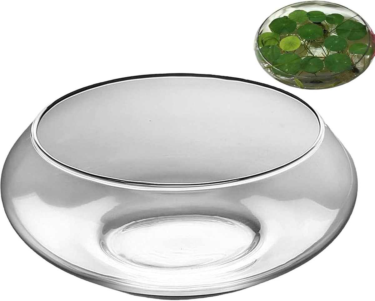 Glazen Viskom - Bloempot Container - Hydrocultuur Planten - Ondiepe Brede Kom - 25 x 10 cm - Transparant