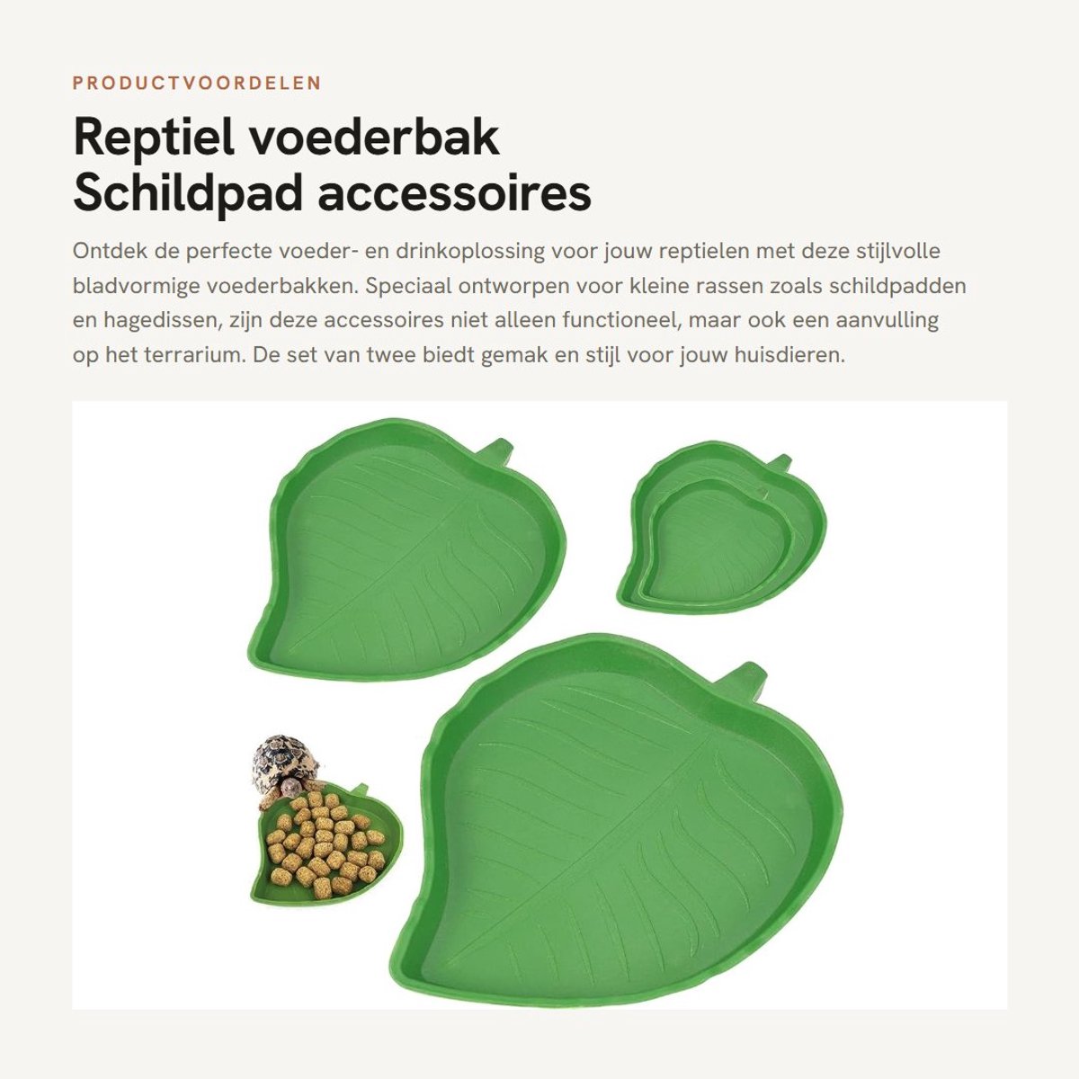 Dailygoods- Voederbak - Bladvormig - Set van 2 - Kunststof - Klein/Groot formaat - Voor reptielen en knaagdieren - Dierenkom