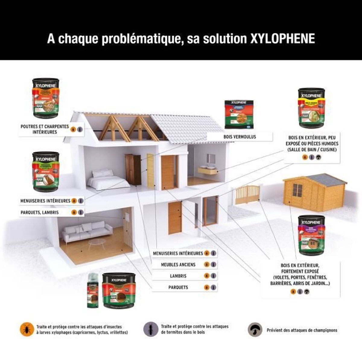 Xylophène – 5L Incolore – Houtinsecticide – Mat