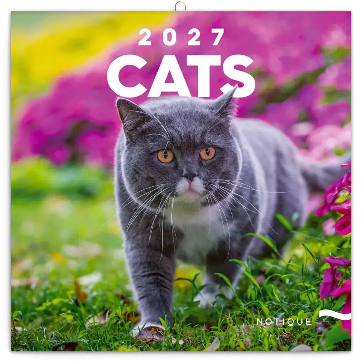 Katten Kalender 2027