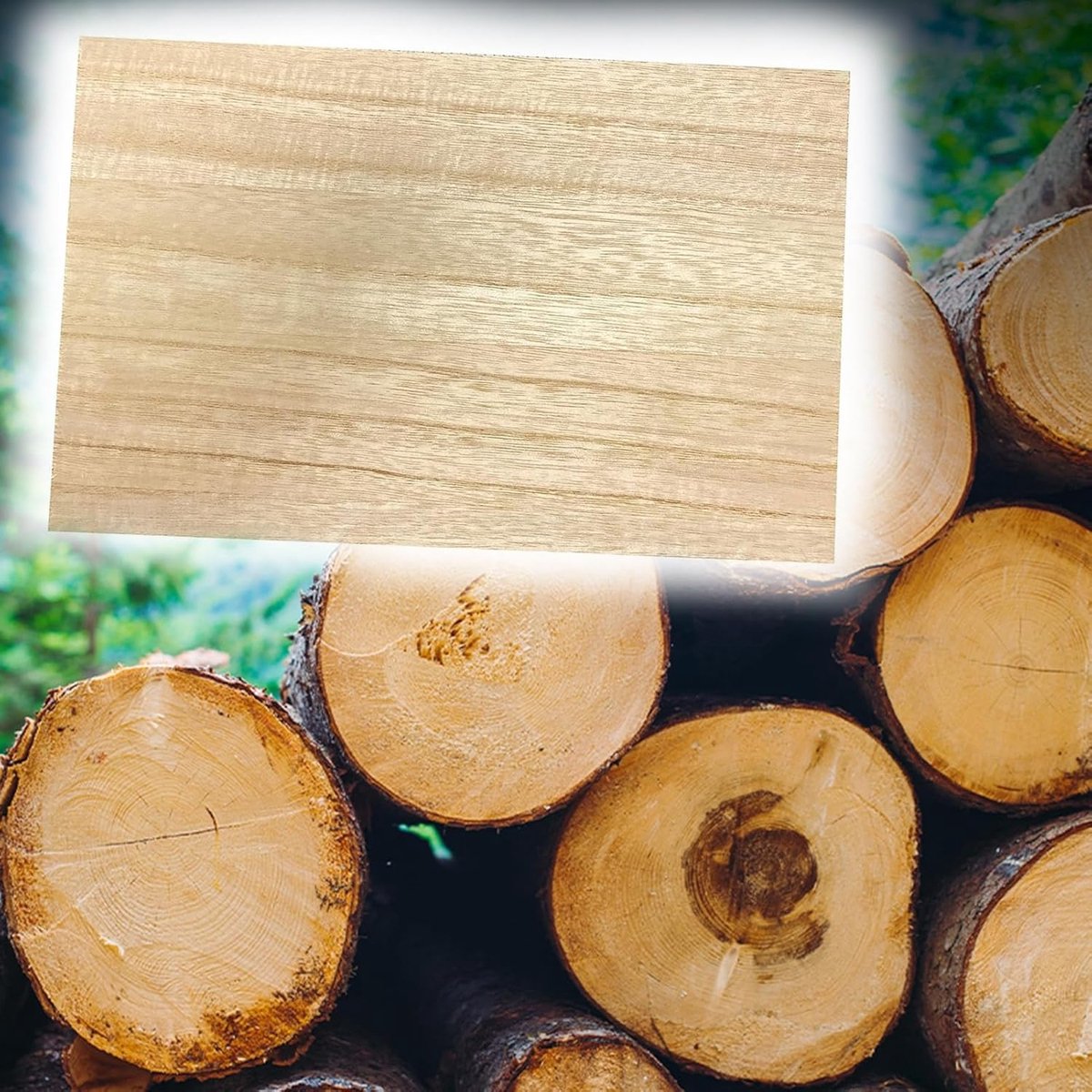 Houten Planken - DIY Materiaal - Knutselprojecten Maken - Glad Braamvrij Oppervlak - 100x40 cm - Natuurlijk Hout