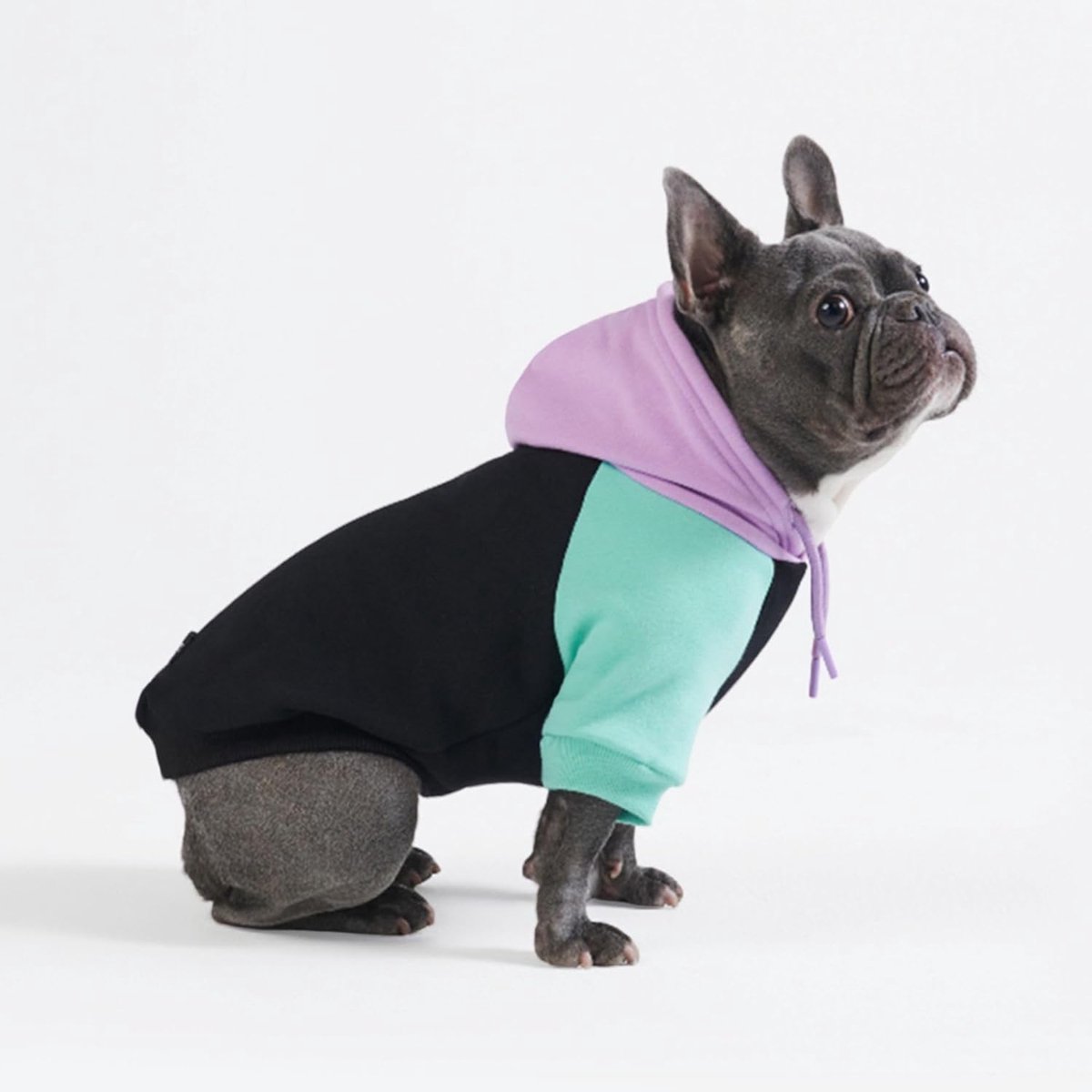 Paws hondenhoodie – Premium kwaliteit, zijdezacht, uitstekend comfort en pasvorm, kalmerende fleece binnenkant, geschikt voor alle rassen - Cyber Punk - 2XL