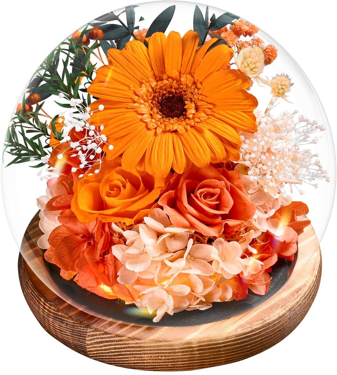 SolidKeus - Echte Zonnebloemen in Terrarium voor Duurzaam Cadeau