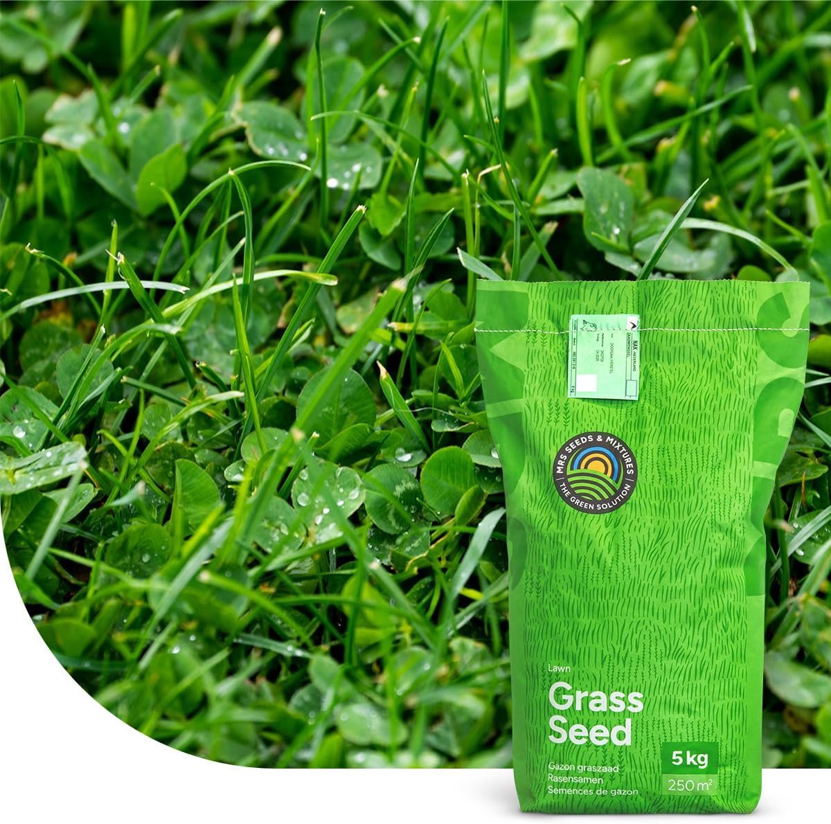 SnelShoppen - Clover Gazon - Graszaad met Microklaver (2 kg voor 100 m²) - Onderhoudsarm, Drought-bestendig, Intensieve Betreding, Duurzaam en Ecologi