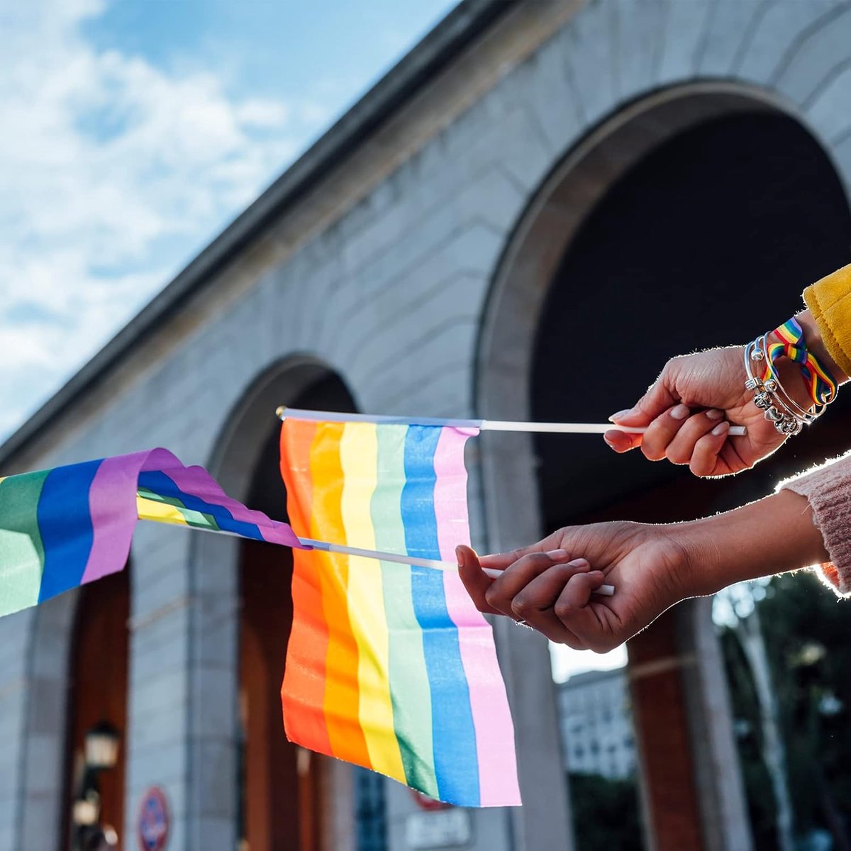 SnelShoppen - 15 Mini Regenboog Handvlaggen voor Festivals | LGBTQIA2+ en NHS Vlaggen 20x11 cm met Poles van 40 cm, Lichtgewicht voor Parades en Feest