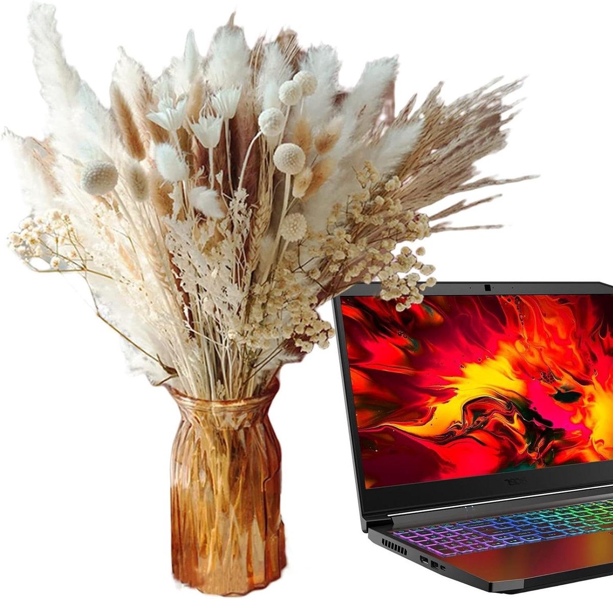 Pampas Gras Decoratie - Gedroogde Bloemen - Woonkamer Aankleden - Natuurlijke Uitstraling - 42 cm - Natuurlijk