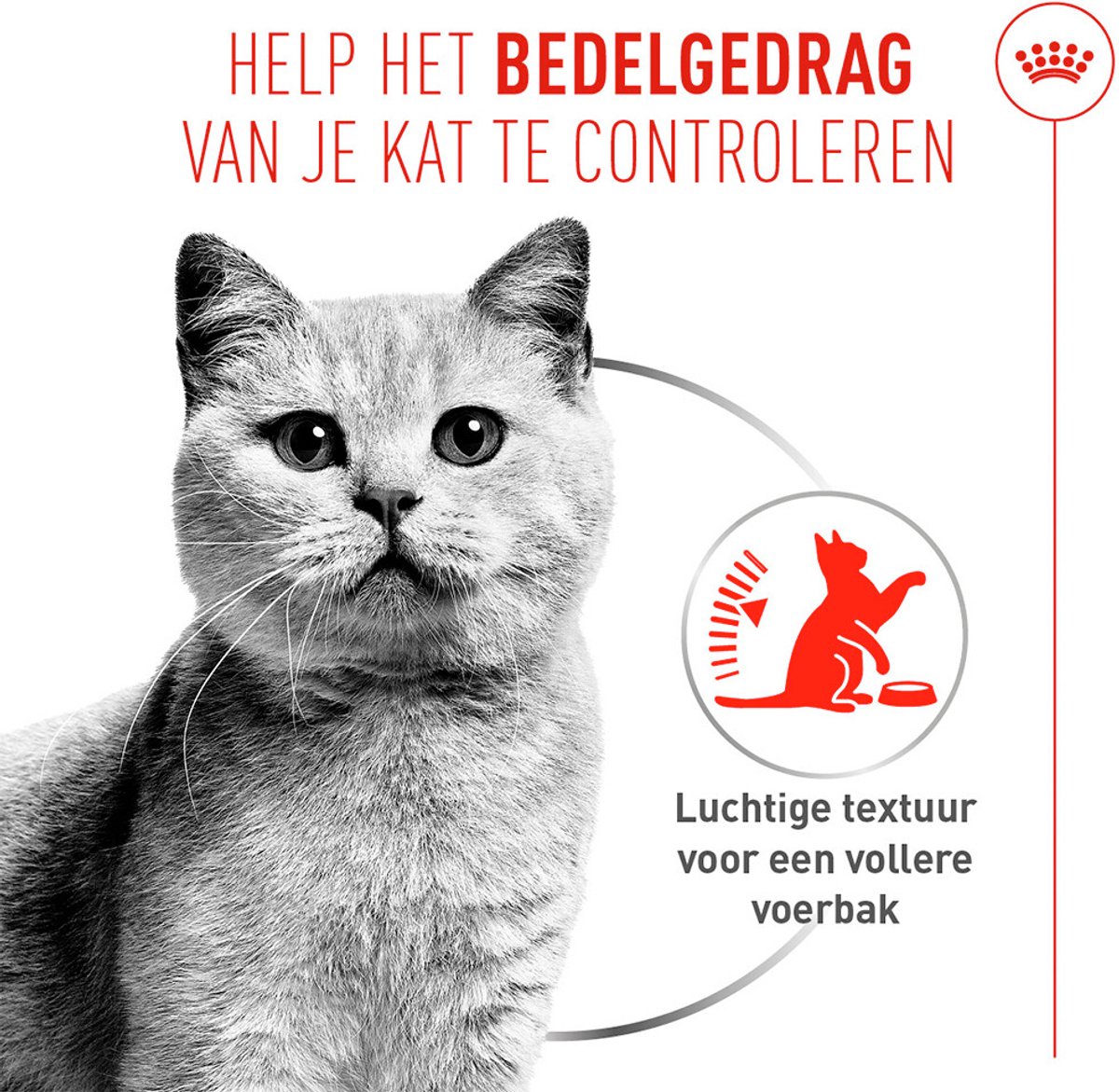 Royal Canin Appetite Control AirLift Mousse - 12 x 85 g