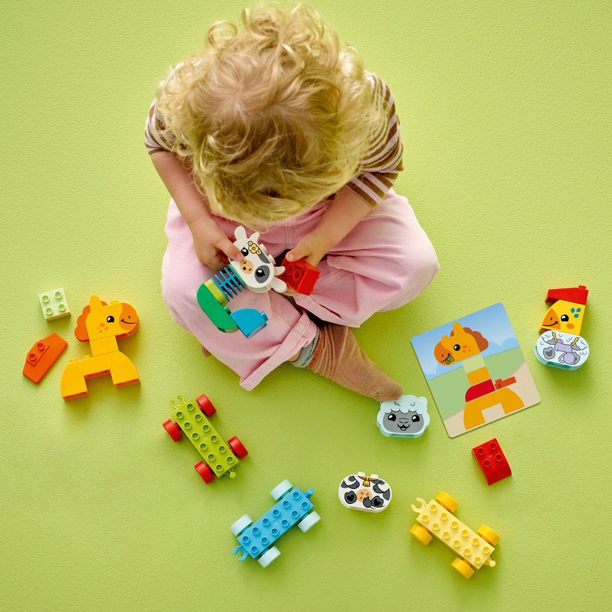 LEGO DUPLO Mijn eerste dierentrein - 10412 — afbeelding 13