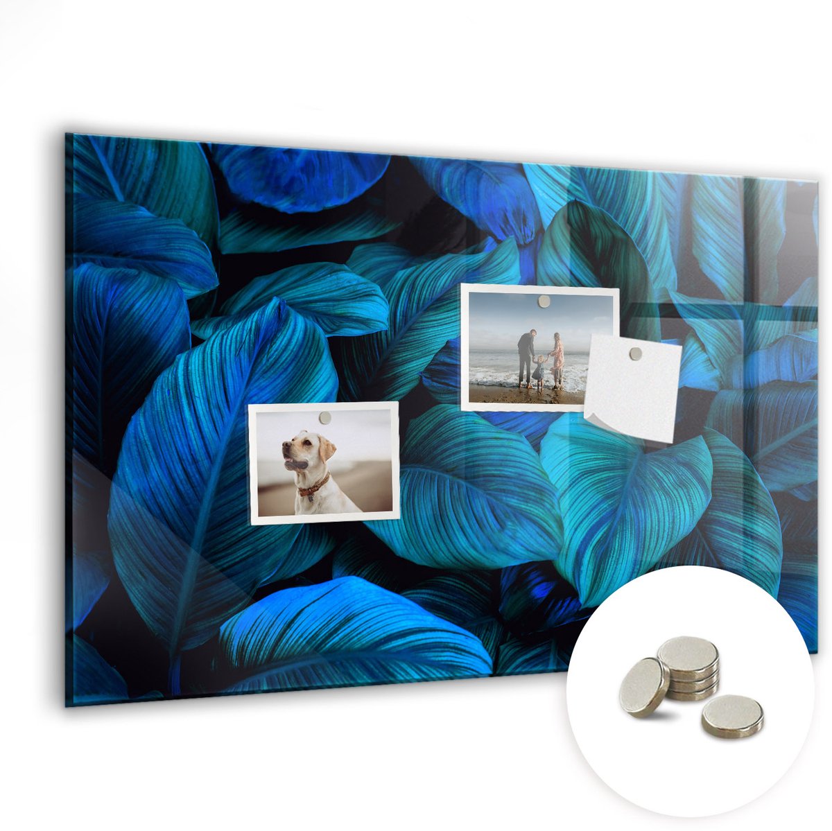 Coloray Glazen Magneetbord - Magnetisch Bord Tropische natuur - 60x40 cm - Blauw Magneetbord - Magnetic Board - Woonkamer Decoratie