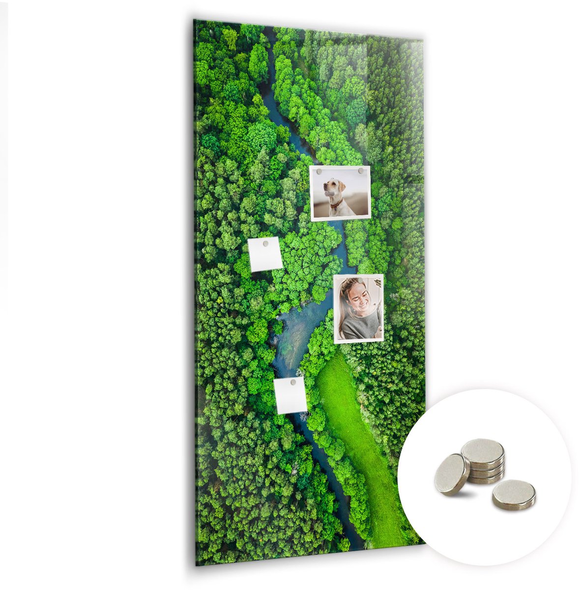 Coloray Glazen Magneetbord - Magnetisch Bord Abstracte lijnen - 60x120 cm - Groente Magneetbord - Magnetic Board - Wanddecoratie