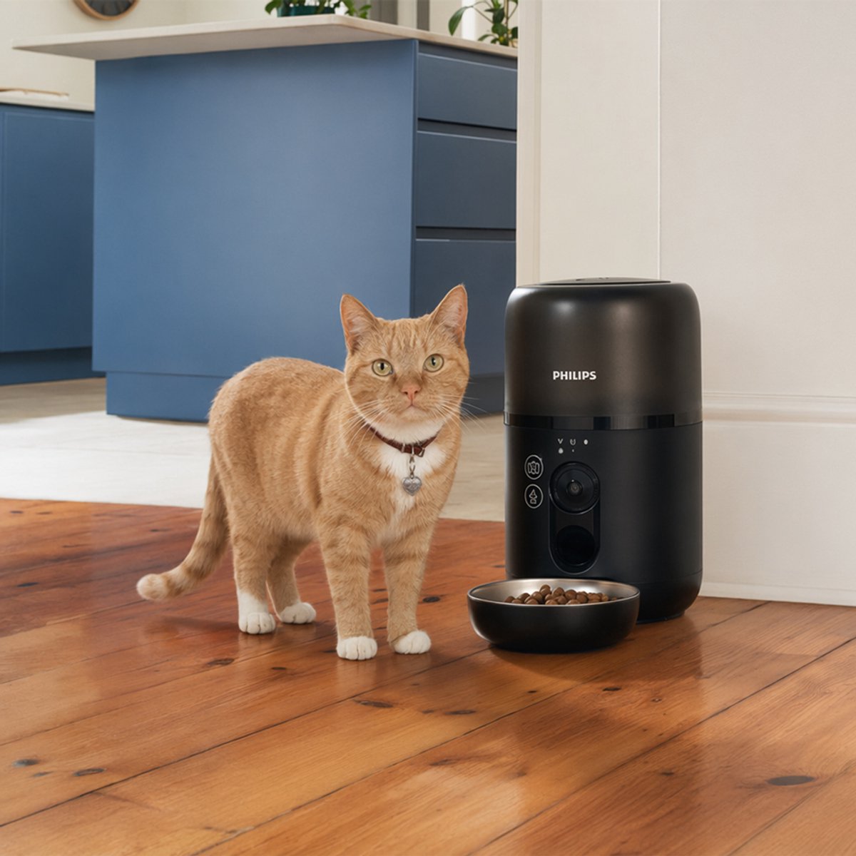 Philips Pet Series voerautomaat met camera, 4,5 liter, grijs - afbeelding 2