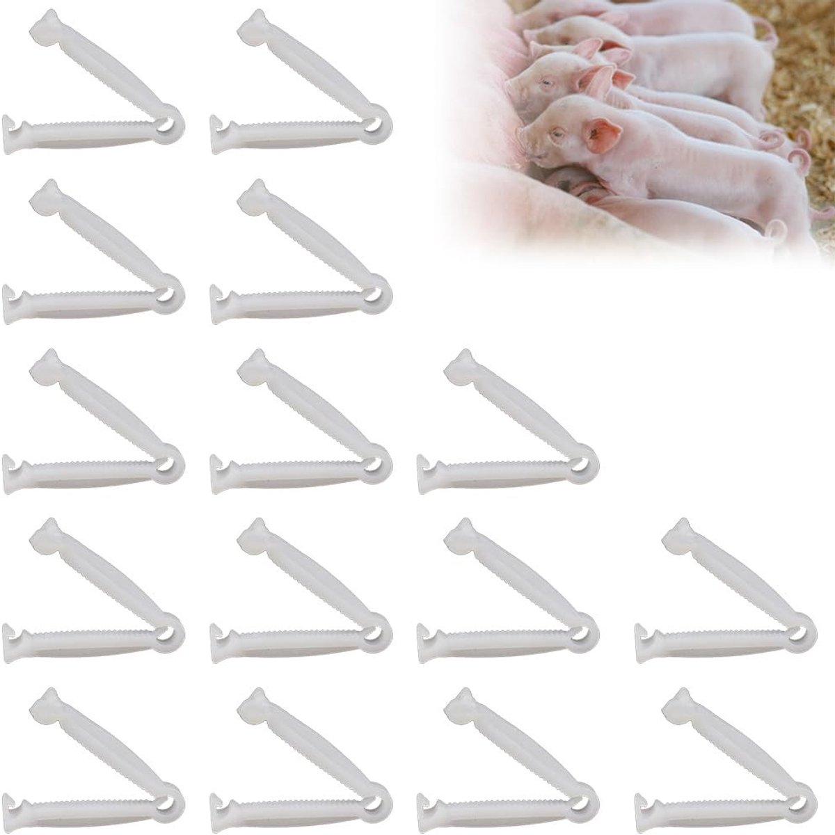 Solidchoice - Navelstrengklemmen - Witte Klemmen voor Huisdieren - 15 Stuks