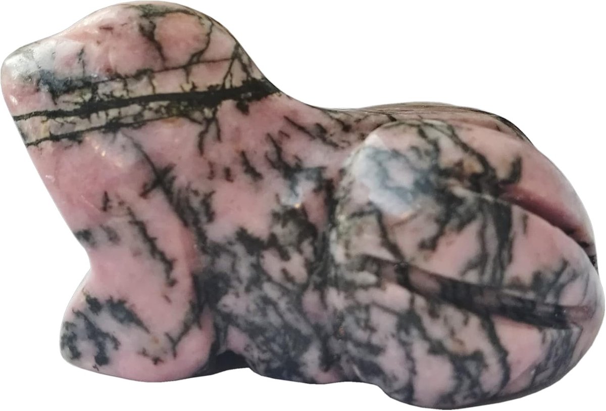 Kikker kristallen figuren - Natuurlijke rhodoniet - Handgesneden zakken voor dierenkamer decor - ShopVlot