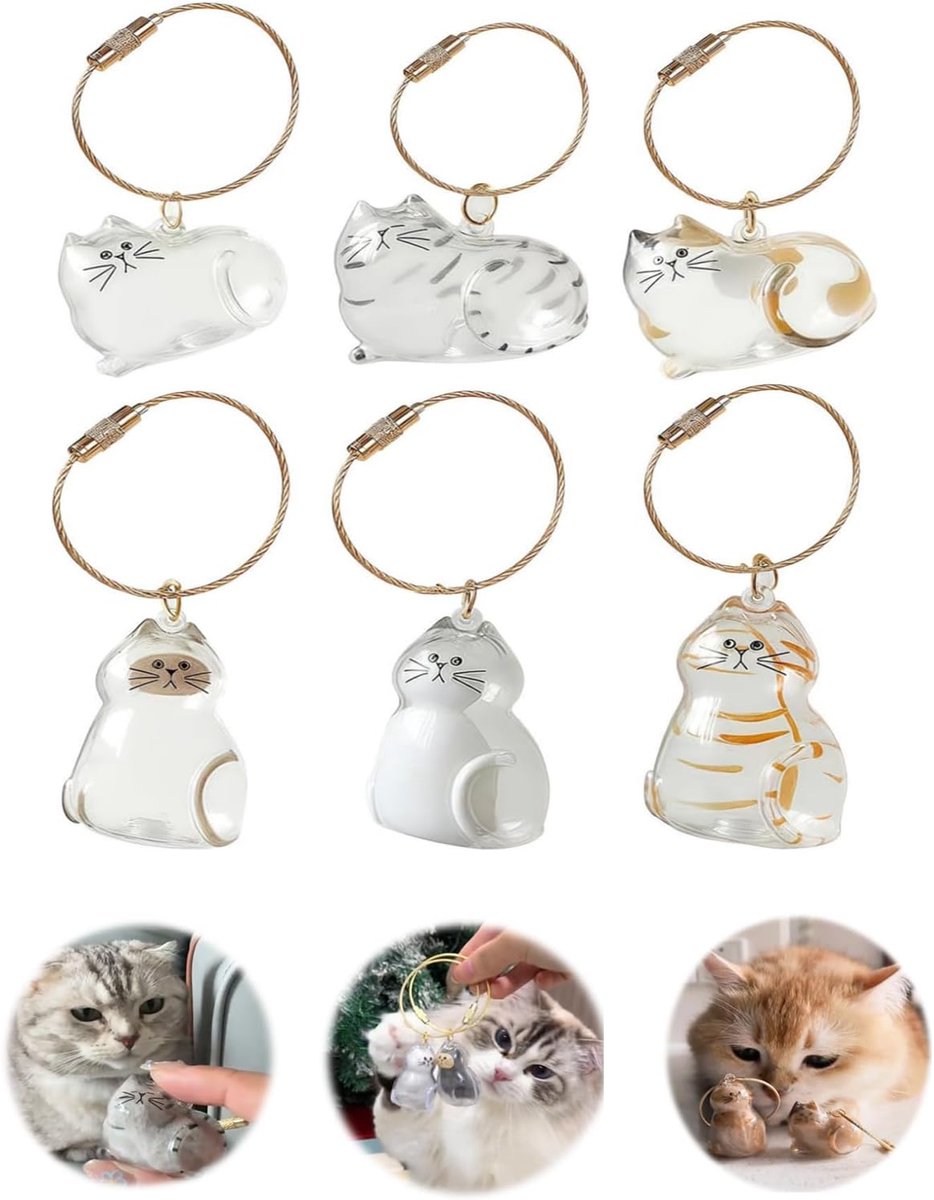 Kat sleutelhangers 6 stuks - schattig ontwerp - verzamelbox voor dierenhaar - blijvende herinnering - ShopVlot