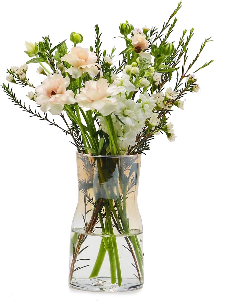 Glazen vaas 17cm - Bruin transparant - Modern design - Perfect voor bloemarrangementen - ShopVlot