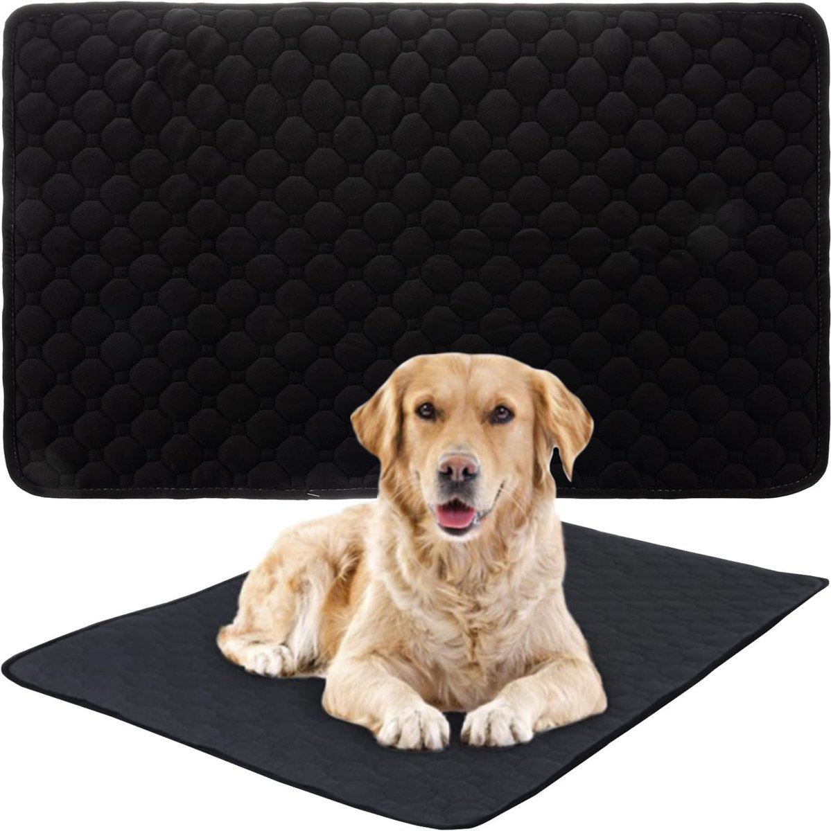 Hondentrainingsmat 70 x 50 cm - Herbruikbaar - Waterdicht en absorberend - Ideaal voor puppy toilet - ShopVlot