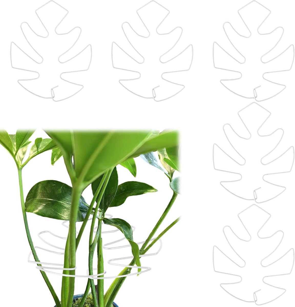 Plant stem holder support set - 5 stuks - bamboe schildpad schelp - stabiliseert klimplanten - ShopVlot
