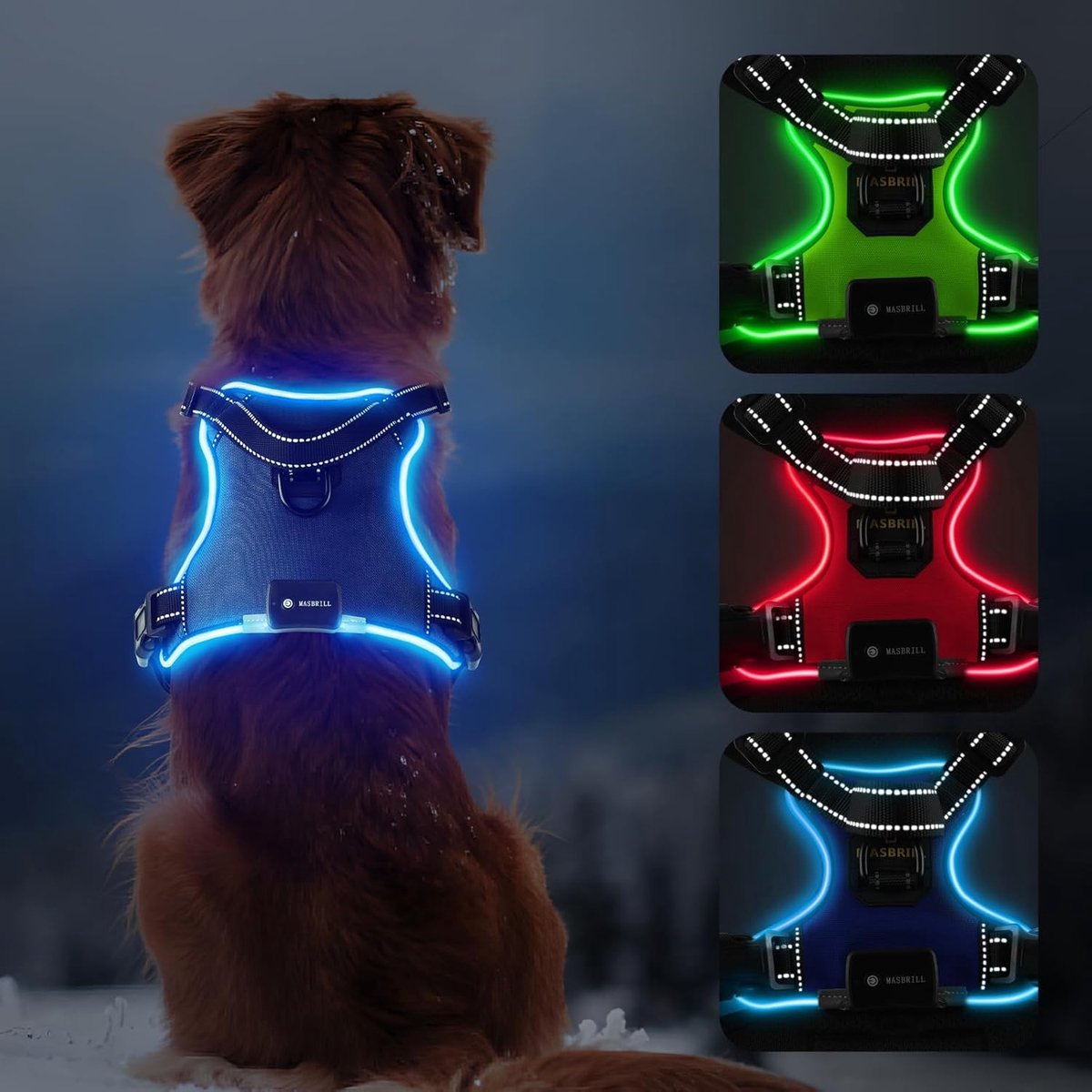 Hondentuig Luminous M - Blauw - Waterdicht - Veilig zichtbaar in het donker - ShopVlot