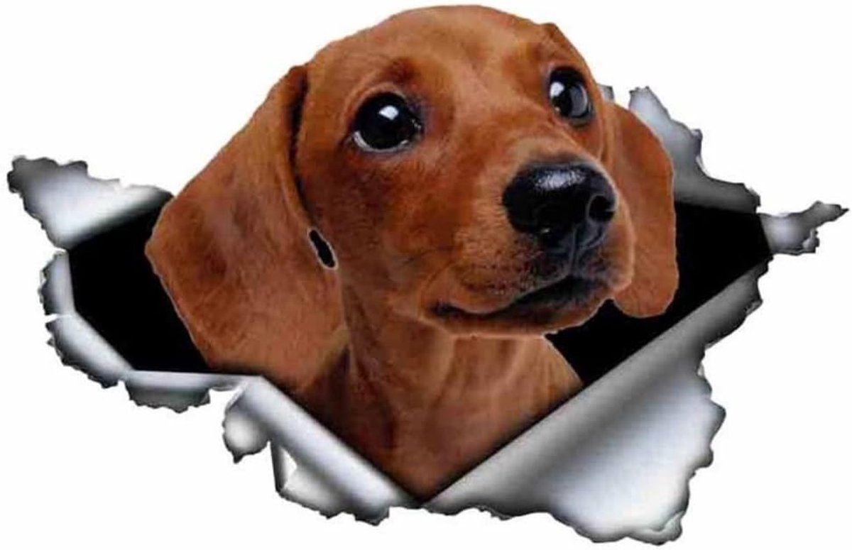 Stickers, bruin, 3D-scheureffect, waterbestendig, voor auto en huisdecoratie (18 cm)