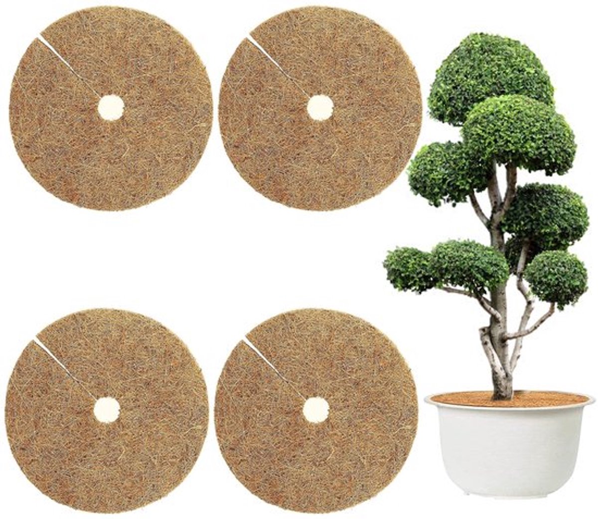 4 stuks 60 cm kokosmatten, kokosvezelmat, kokosplantenbescherming, kokoswinterbescherming, kokosschijf voor planten, duurzame plantenbescherming tegen vorst en kou, bescherming tegen vocht en