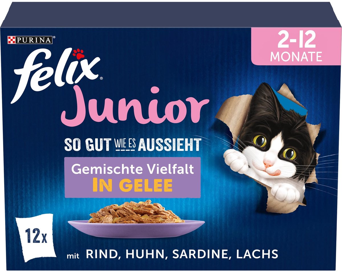 Solidchoice - Natvoer voor Kitten in Jelly met Verschillende Vleesvariëteiten