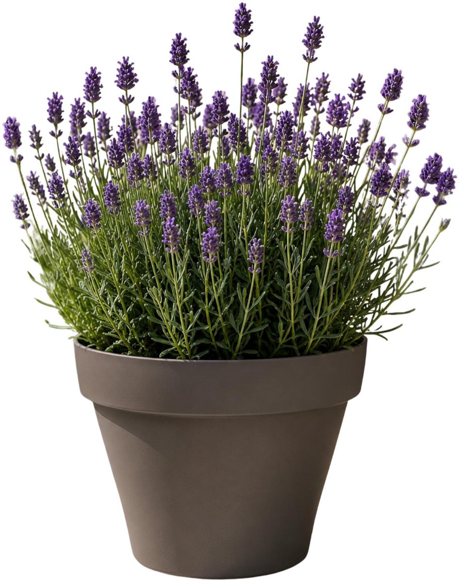 EDA Romeo Bloempot / plantenpot - kunststof - taupe - D21 x H16 cm - binnen en buiten