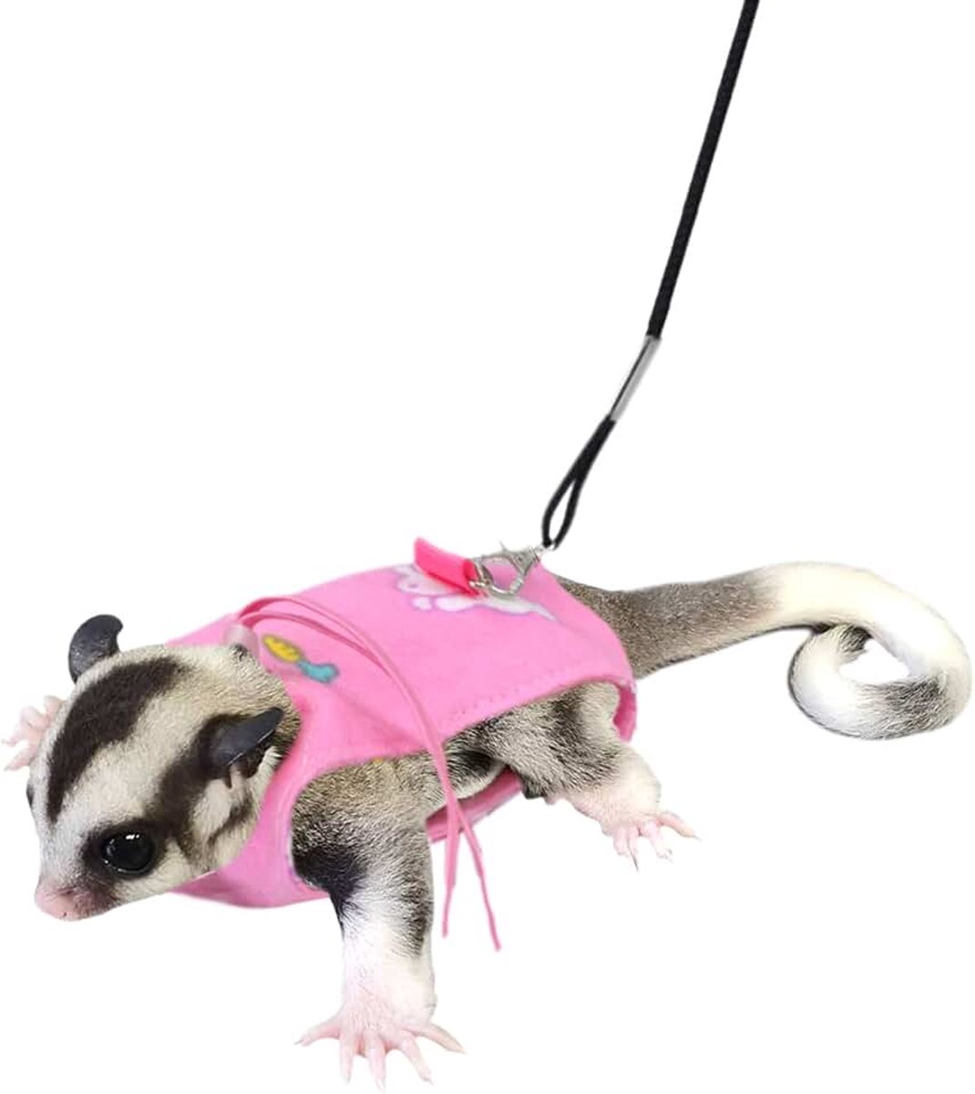 Glider harnas en riem set verstelbaar comfort harnas voor Sugar Glider kleine dieren training wandelen vest riem