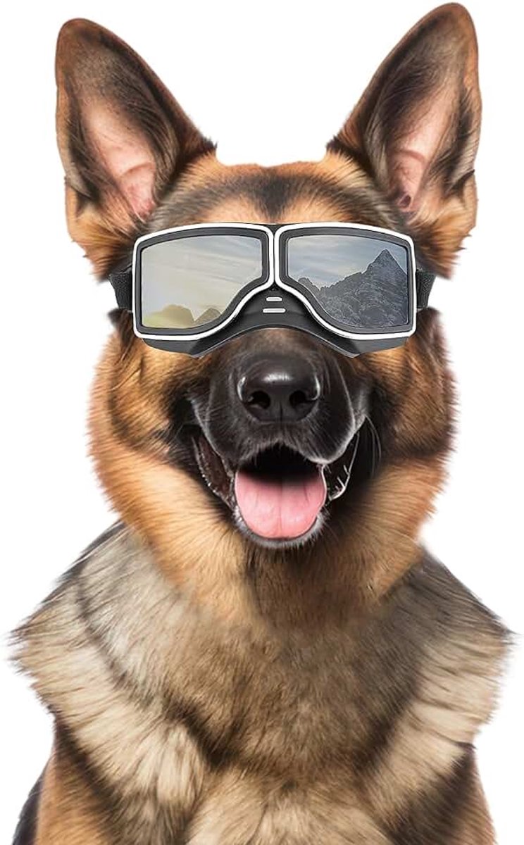 Hondenbril, uv-bescherming, winddicht, stofdicht, met verstelbare riem, voor middelgrote tot grote honden, zilver