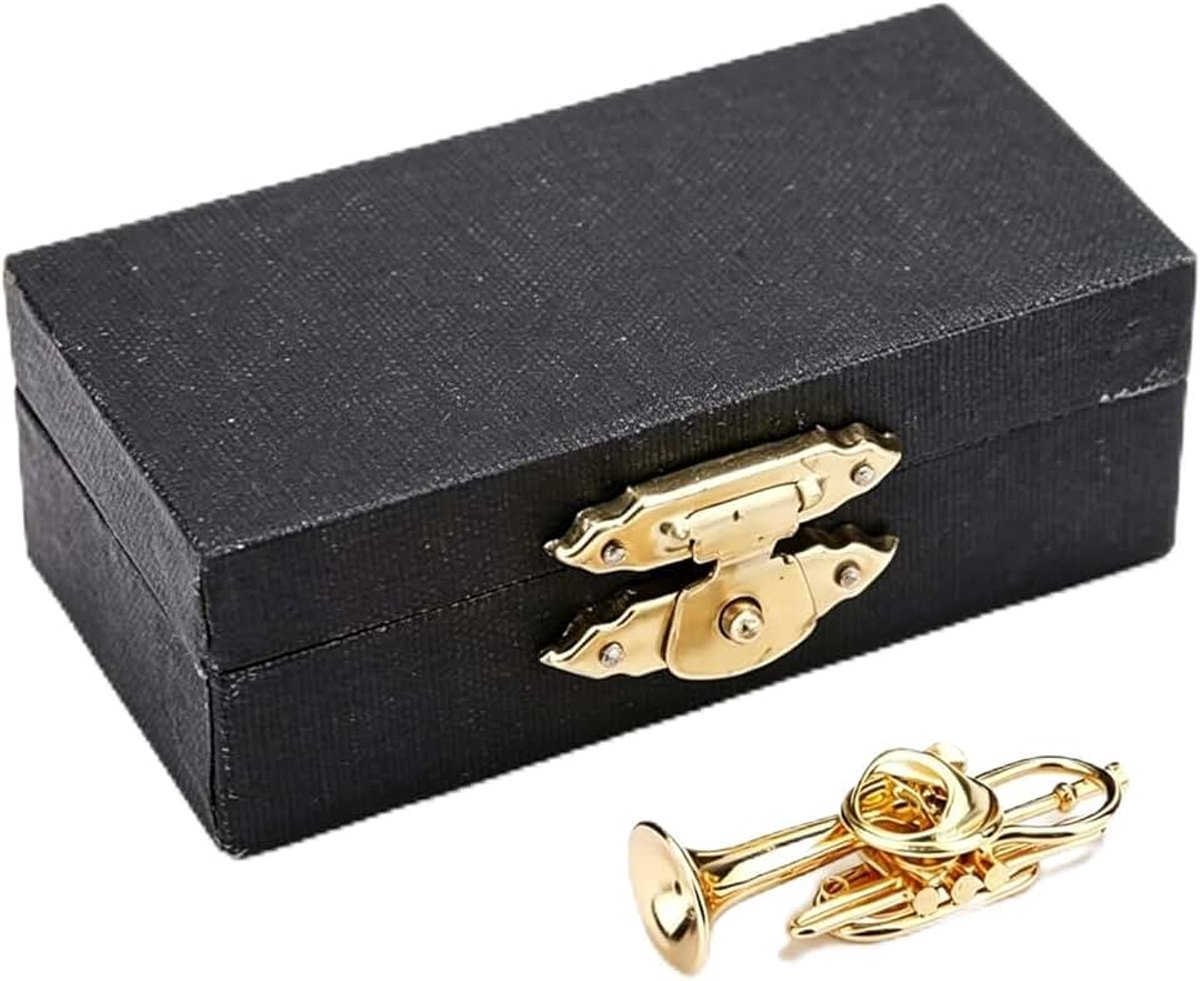 Speldje muziekinstrument met doos, muziekinstrument ornament badge, broches voor mannen en vrouwen