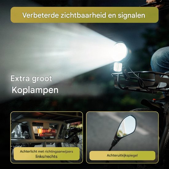 Fafrees Elektrische Driewieler - 20 Inch 48V 21Ah Accu - Dik Klapfiets E-Bakfiets - Elektrische Fiets - Elektrische Vrachtsfiets 180kg - 85km Bereik - Grote groentemanden aan de voor- en achterkant - Koppelsensor - Max 180kg Belasting - Groen van FAFREES — afbeelding 4