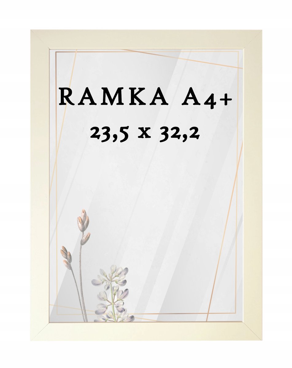 Cremekleurige A4+ Fotolijst 23,5x32,2 cm DAISY - Diploma/Certificaat