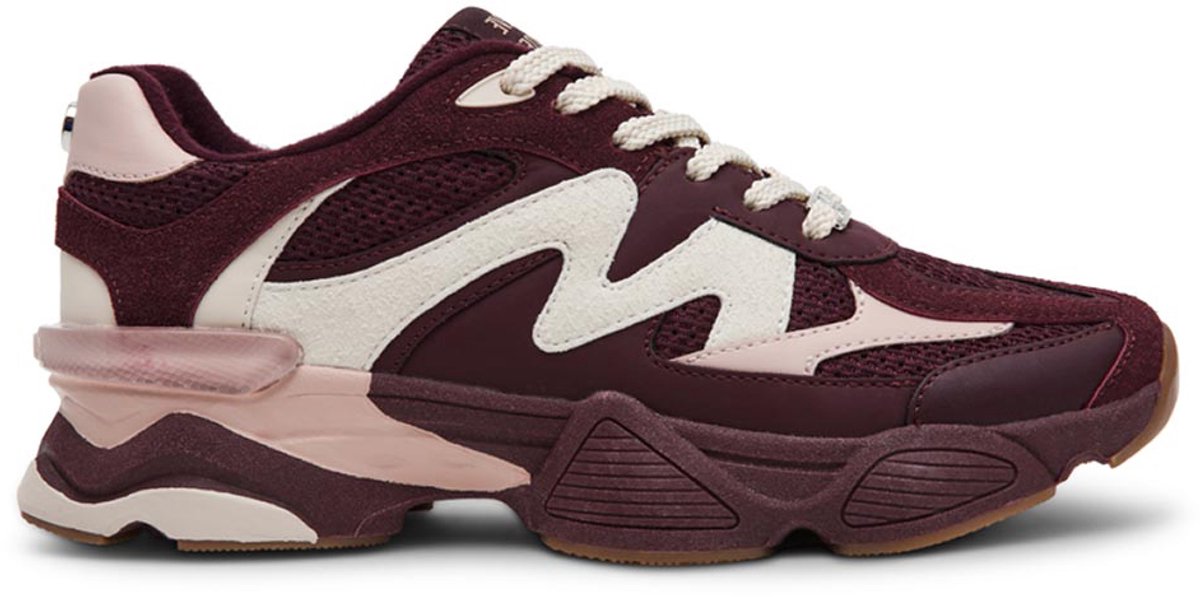 Steve Madden Speeder Sneakers - Dames - Bordeaux - Maat 42