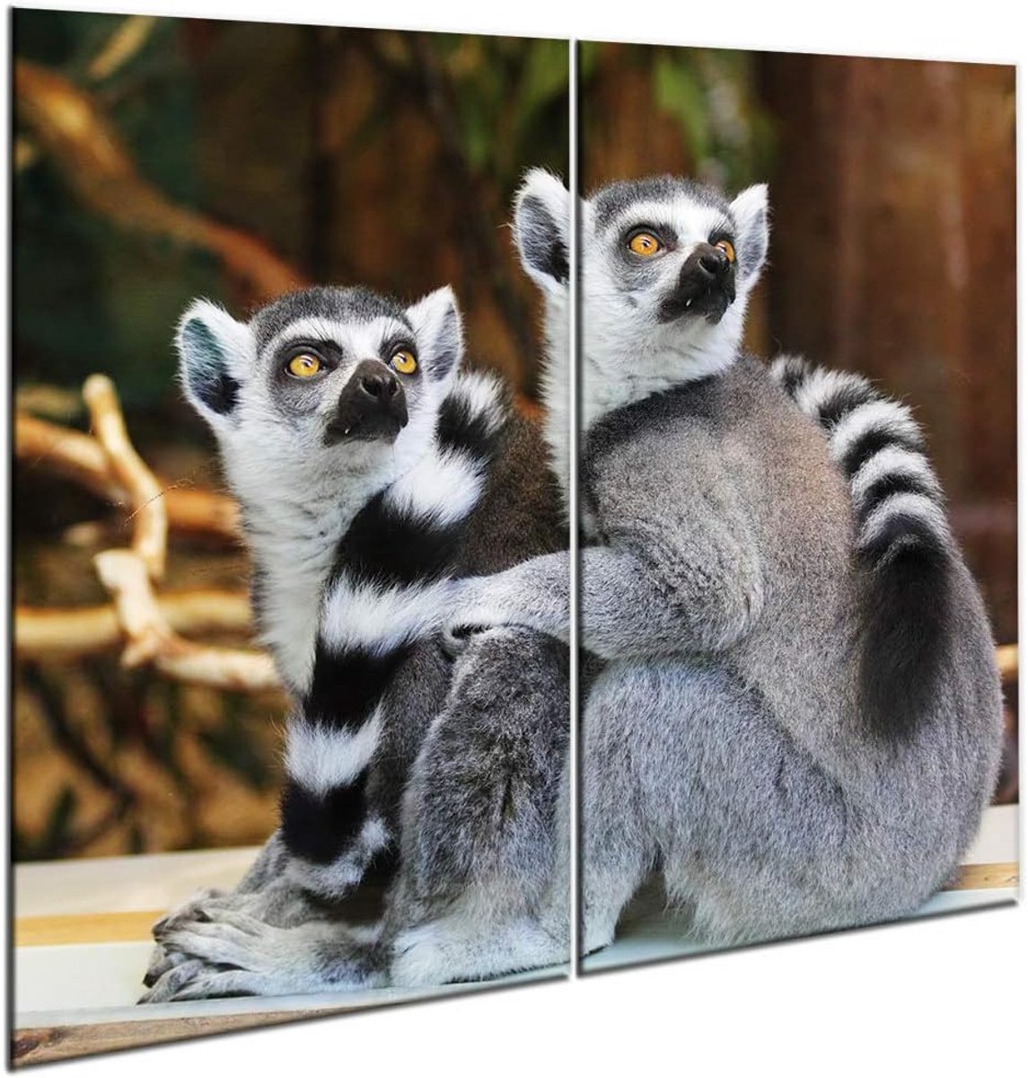 Universele Afdekplaat - Snijplank Kookplaat - Werkblad Beschermen - Gehard Glas - 60 x 52 cm - Transparant