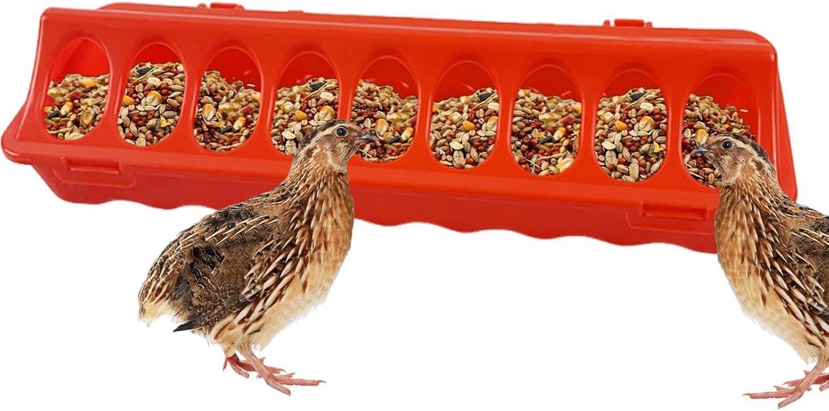 Kippen Voederbak - Gevogelte Schaal - Voer Verstrekken - Gestroomlijnd Voerontwerp - 30 x 10 x 6 cm - Meerkleurig