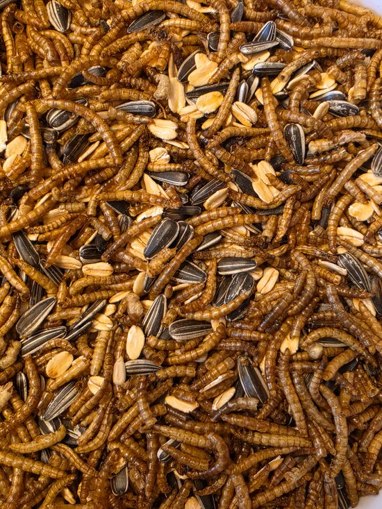Close-up van Insectify Scharrelmix, een voeder met bruine gedroogde meelwormen, zwart-witte zonnebloempitten en lichte havervlokken.