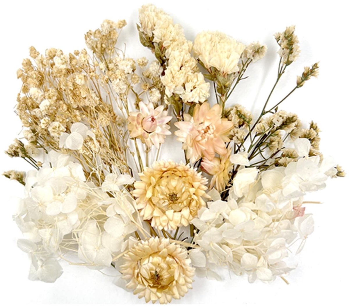 Dailygoods - Droogbloemen, droogbloemen om te knutselen, gedroogde bloemen, kleine droogbloemen, voor doe-het-zelf handwerk, decoratie, epoxyhars, handwerk, scrapbooking, kaarten maken (wit pak)