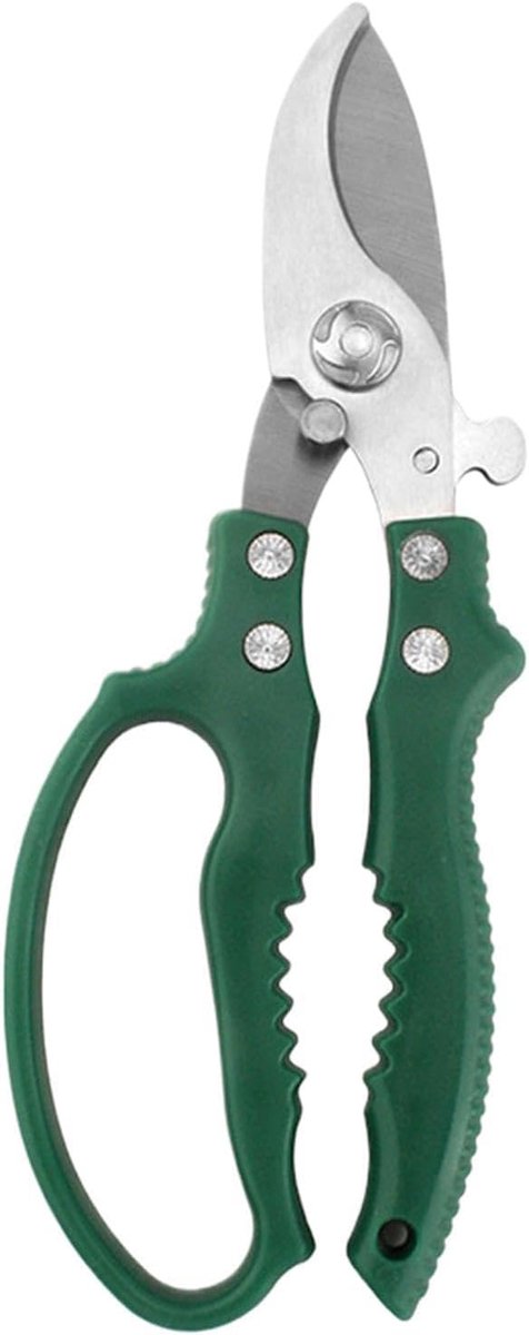 Snoeischaar Tuin - Bloemenschaar Takkenknipper - Planten Verzorgen - Ergonomisch Handvat - 20.5 cm - Zilver