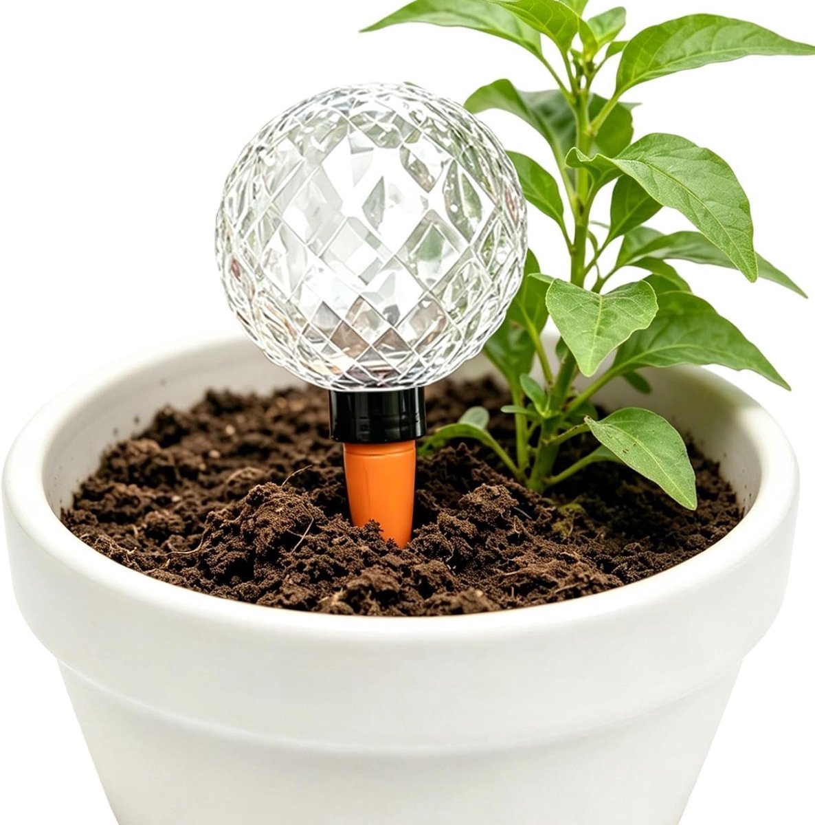 Zelfwaterende Bollen - Watergeefpinnen - Planten Verzorgen - Diepe Wortel Irrigatie - 300 Ml - Transparant