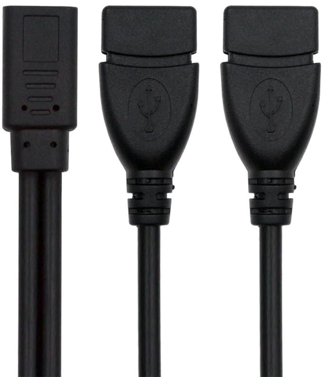 Xiwai USB-C Splitter Type-C Female DC 5V to Dual USB 2.0 Standard Type-A Female Extension Cable - ShopVlot