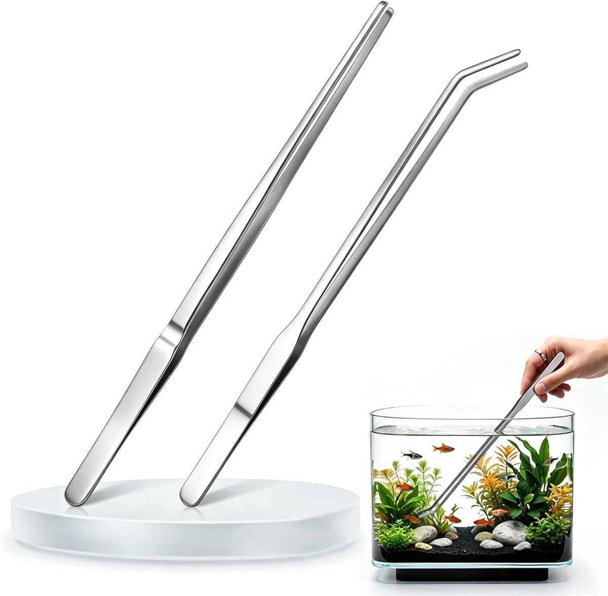 Gebogen aquariumtang - ShopVlot