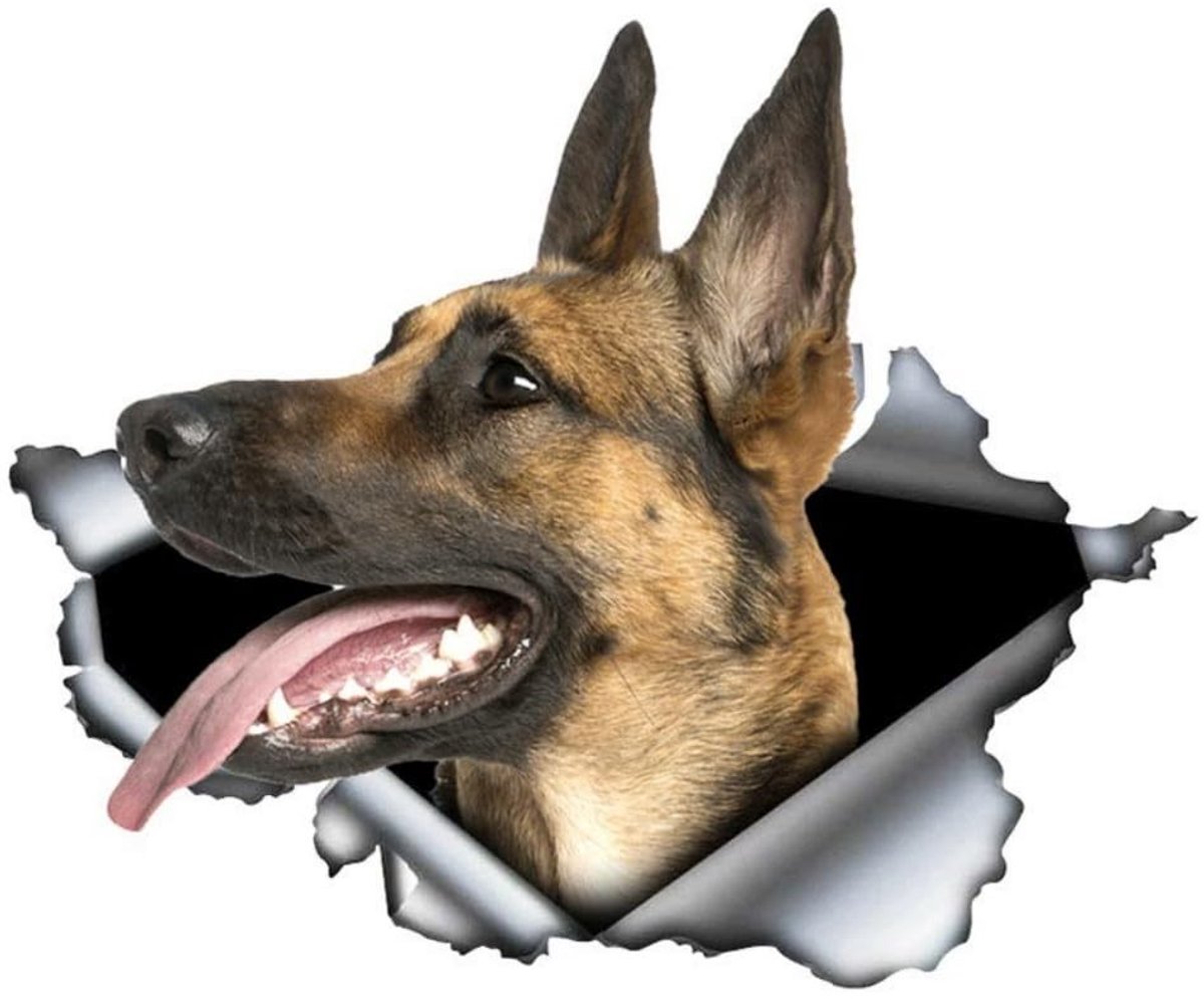 Solidchoice - Belgian Malinois Stickers met 3D Effect