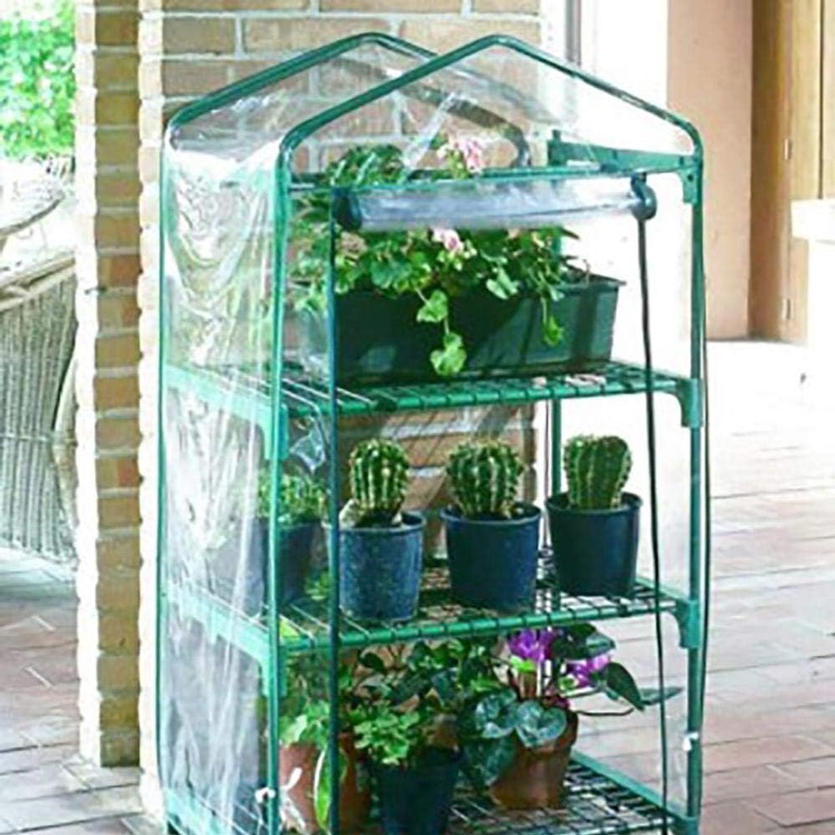 Greenhouse steel structure and bag PVC - ShopVlot