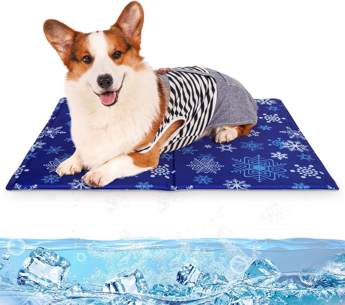 Mat voor Honden & Katten – Niet-Toxische Gel Koelmat voor de Zomer – Duurzaam, Waterdicht & Makkelijk Schoon te Maken – Koelkussen voor Huisdieren 65 x 50 cm