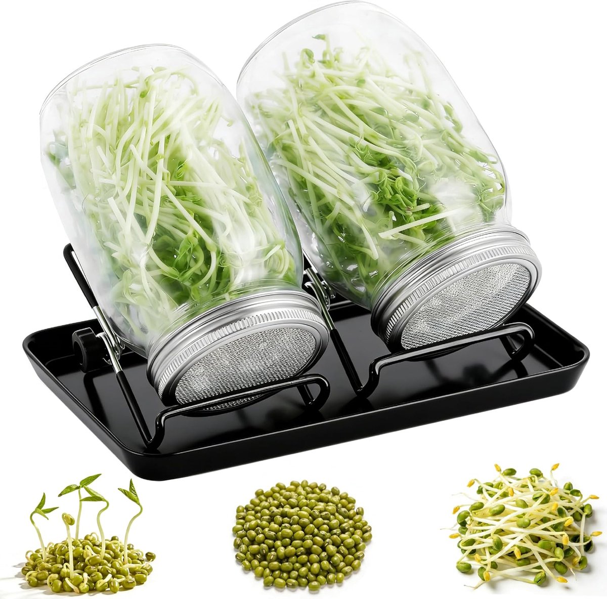 kiemglas, set van 2, complete set met 2 glazen, roestvrijstalen zeefdeksel (304), 2 staande ringen en zwarte waterschaal voor het kiemen van alfalfa, broccoli, mungobonen en meer