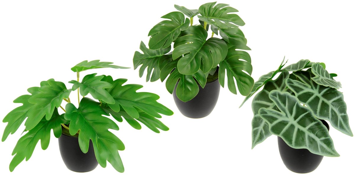 Omgoods - Monstera Mini Plant Assortiment - Set van 3 Kunstplanten in Pot