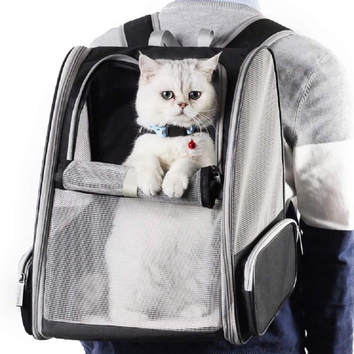 Omgoods - Draagbare Rugzak voor Katten en Kleine Honden tot 7,5 kg