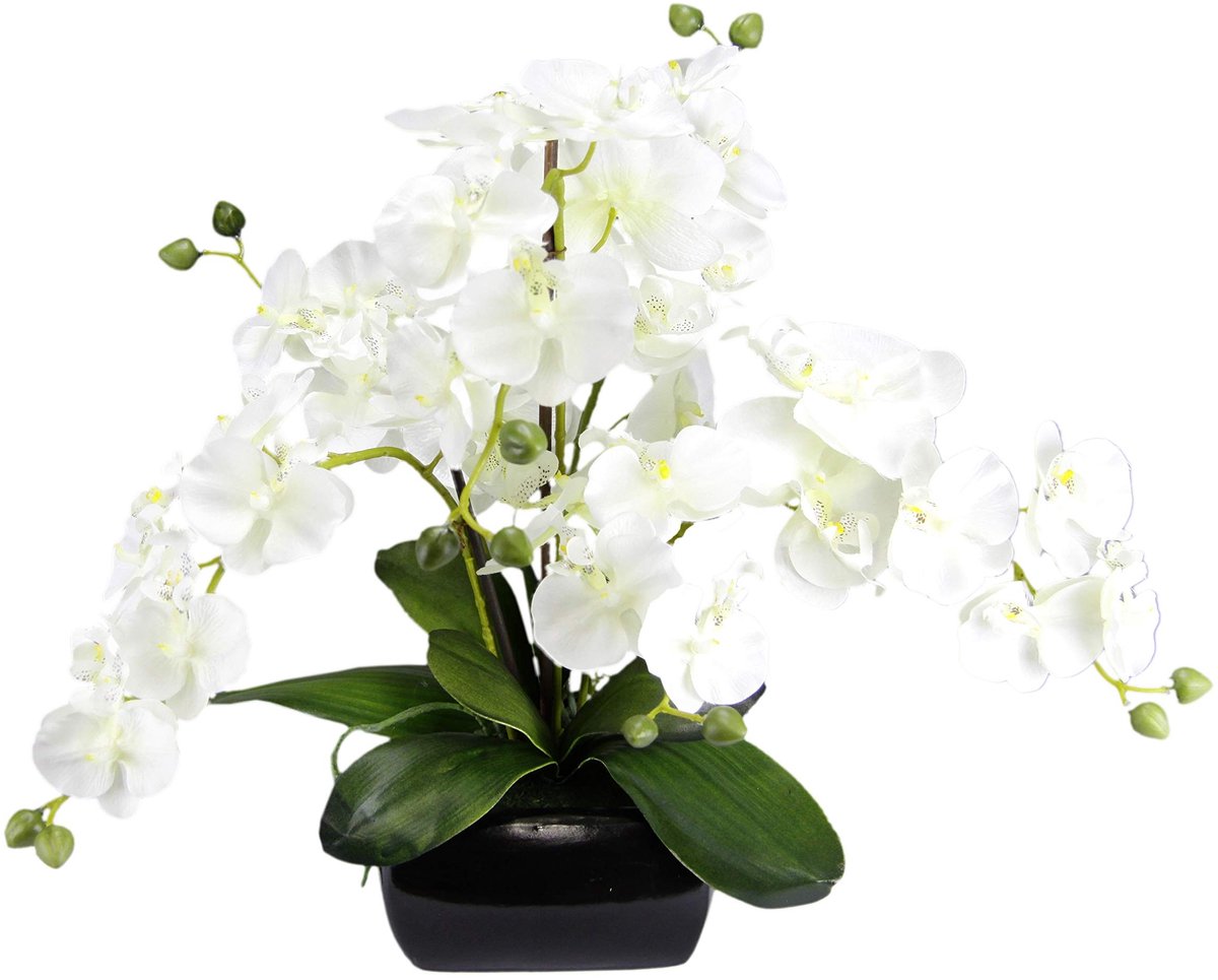 Omgoods - Kunstorchidee met Pot, 40 x 36 cm, Witte Bloem