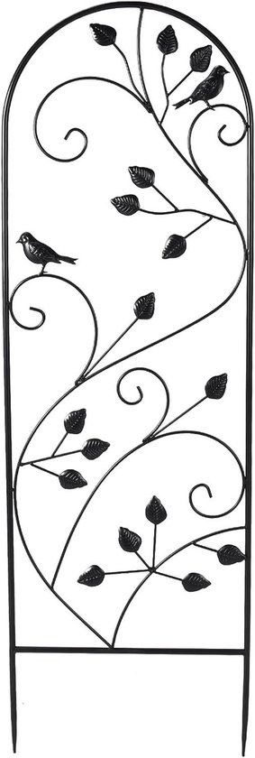 Tuinhekset Klimplantsteun - Plantenrek Rozenrek - Planten Ondersteunen - Gecoat IJzer Ontwerp - 118 x 38 cm - Zwart