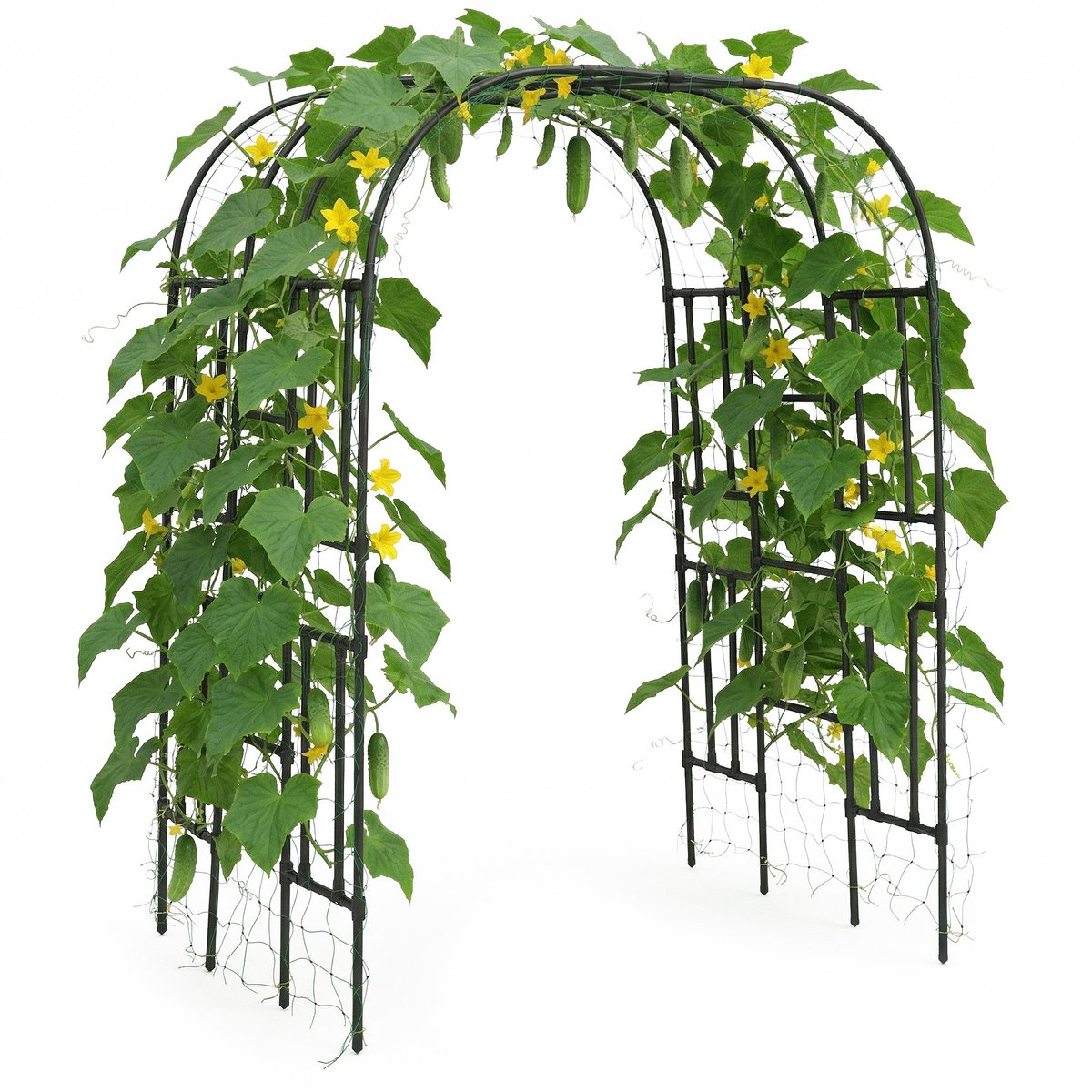 Metalen Tuinboog Latwerk - Roestbestendig Klimrek Voor Klimplanten - Modulair Montage Systeem Voor Tuin En Feestdecoratie - Koepel - Zwart
